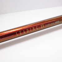 08リーディング-XV ヤリイカ195